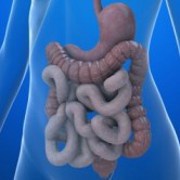 Inflammatory Bowel Disease related image